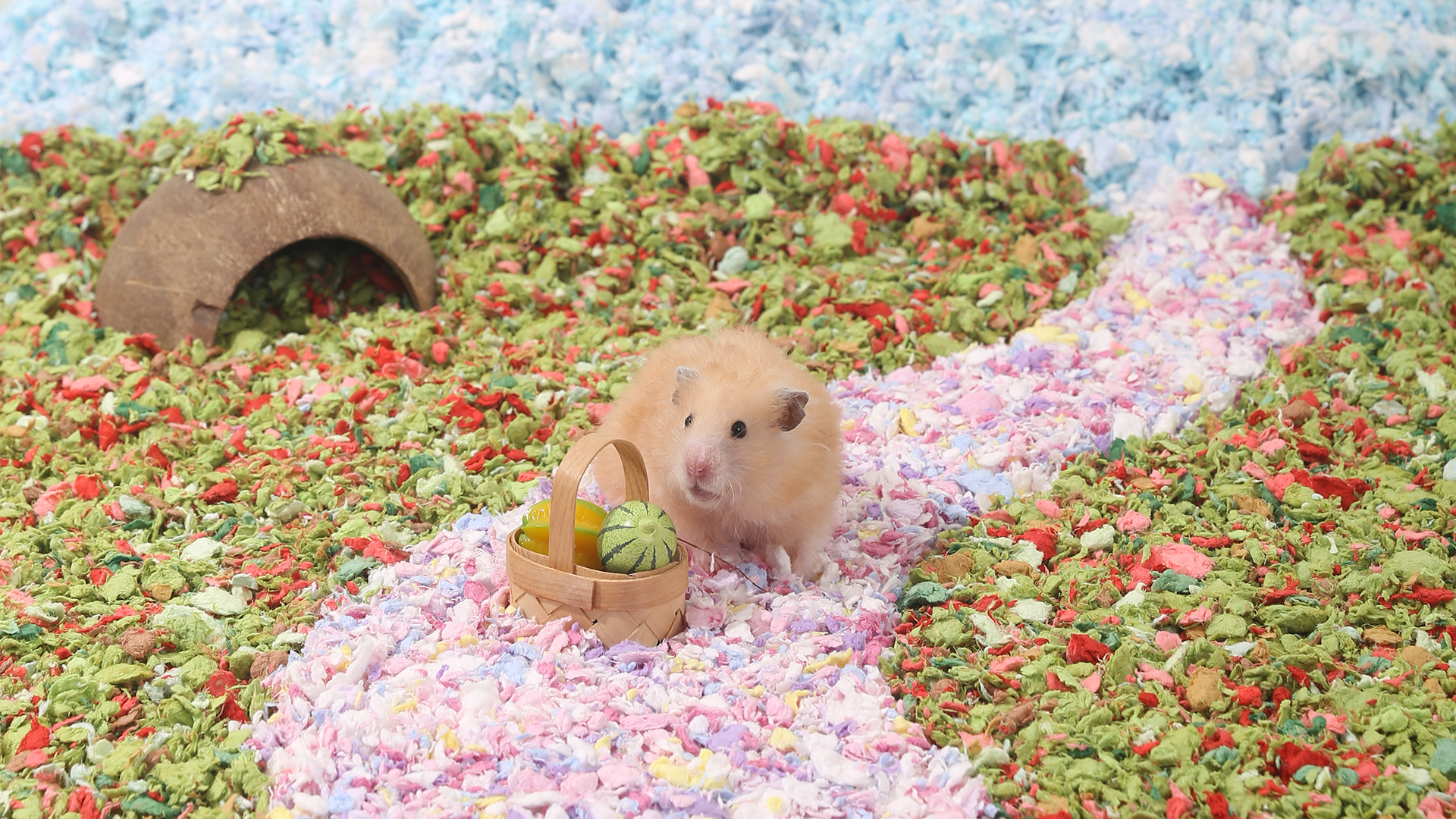 Amazon | Tafit 小動物 床材 ハムスター 床材 紙 ハムスター マット